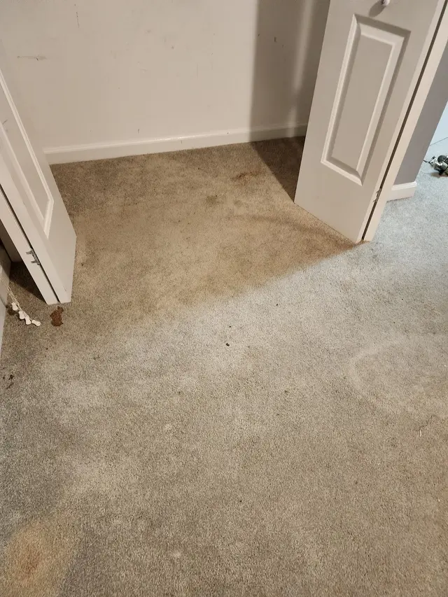 Superior Cleaning Systems Inc — customer photo 12