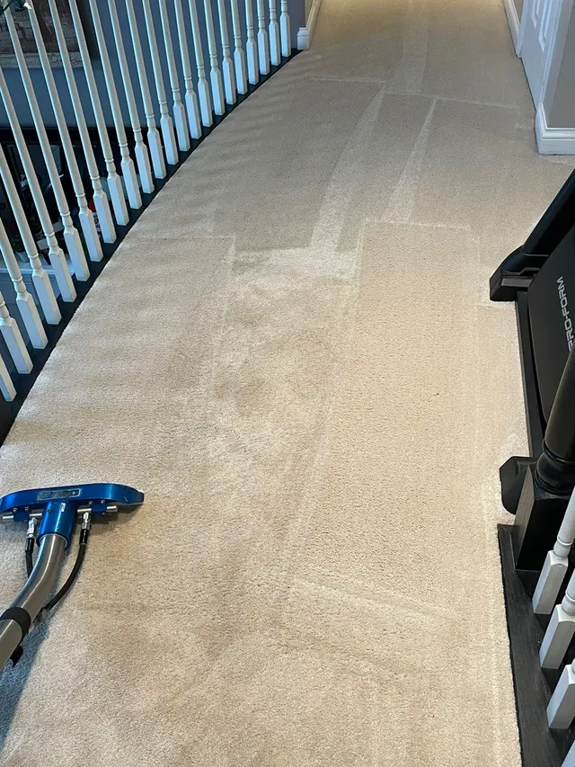 Fiberking home and business services. — photo from the business 12