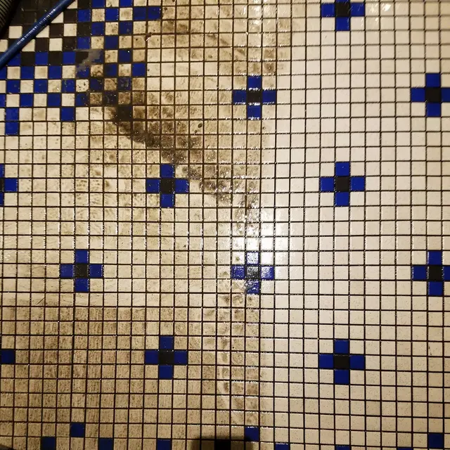 Bristol Tile & Grout Restoration, Inc. — photo from the business 5
