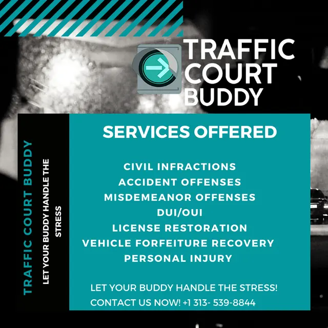 Traffic Court Buddy: Ticket Lawyer — photo from the business 8