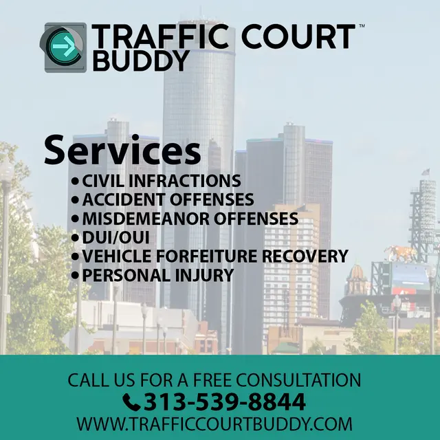 Traffic Court Buddy: Ticket Lawyer — photo from the business 6
