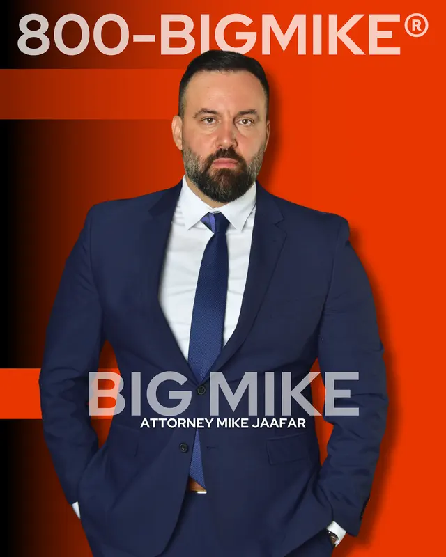 Big Case Mike Law Firm — photo from the business 10