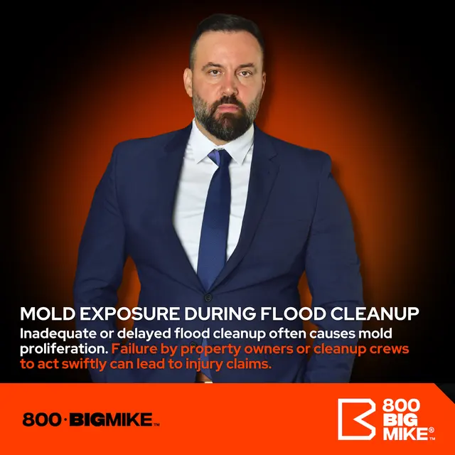 Big Case Mike Law Firm — photo from the business 7