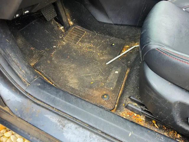 Customer photo of work by Max Shine Detailing, from Jon N's review