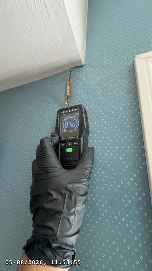 ProDetect Mold Inspection of Norwalk — photo from the business 4