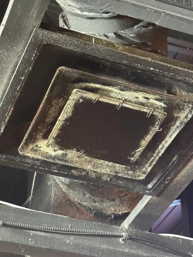 Air Quality Experts Mold Testing & Inspections — photo from the business 10