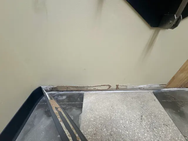 Air Quality Experts Mold Testing & Inspections — photo from the business 6