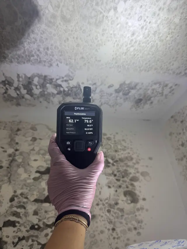 Air Quality Experts Mold Testing & Inspections — photo from the business 4