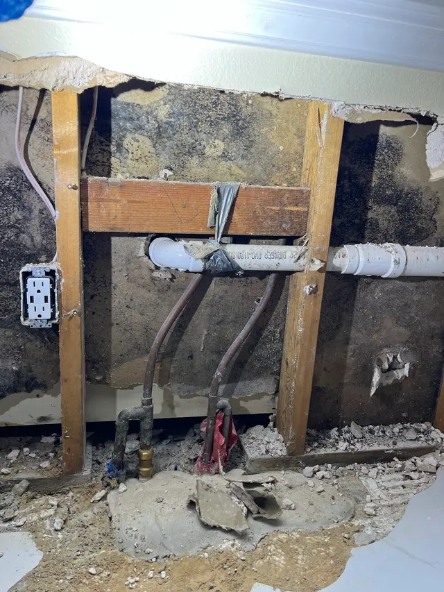 Air Quality Experts Mold Testing & Inspections — photo from the business 1