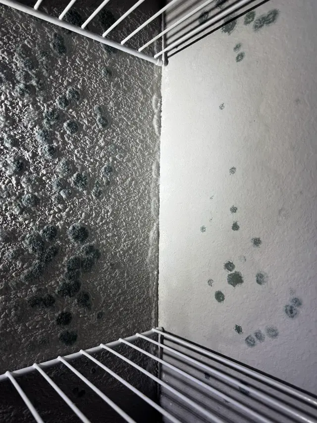 Air Quality Experts Mold Testing & Inspections — photo from the business 8