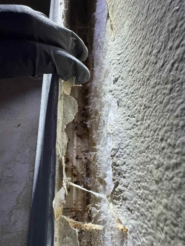 Air Quality Experts Mold Testing & Inspections — photo from the business 3