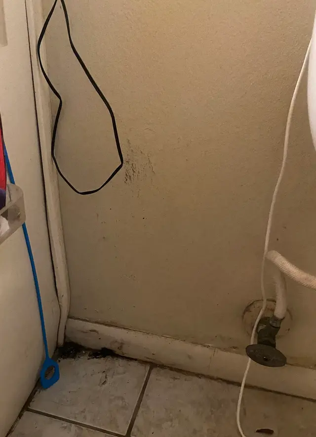 Enviro-Hazard Testing — photo from the business 5