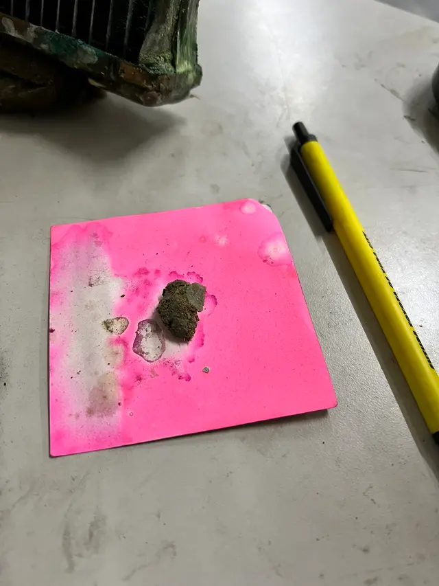 Precision Auto Repair — customer photo 9