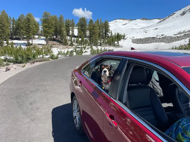 Chico Car Care — customer photo 3