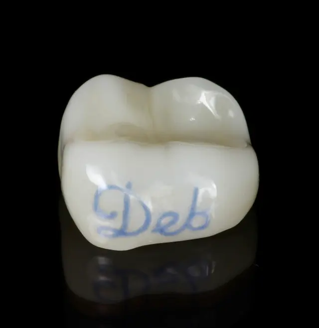Craft of Dentistry — photo from the business 7
