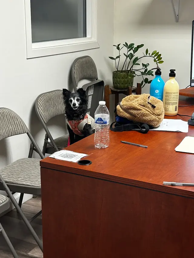 Roxys Taxes — customer photo 5