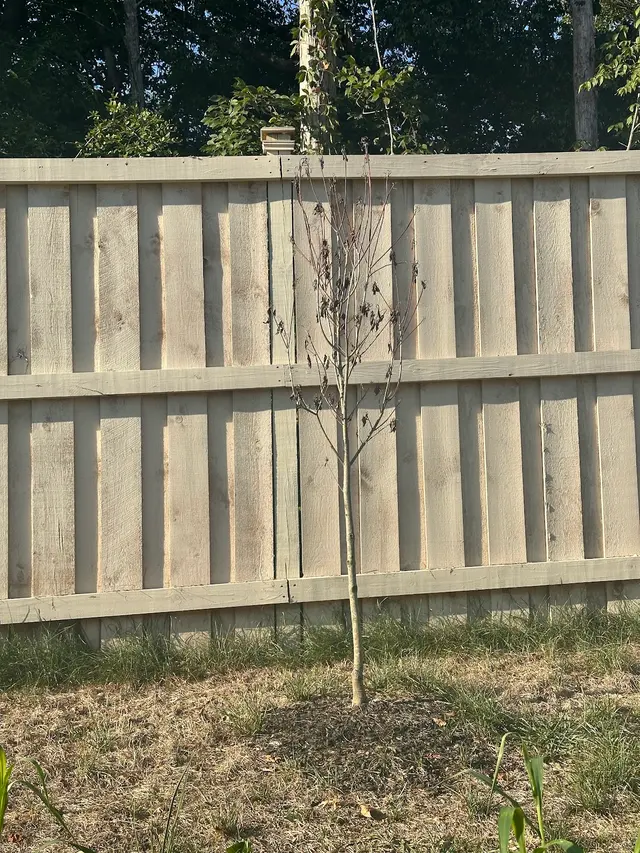 Customer photo of work by Alpine Landscaping, LLC, from Ana and Ekke Schütz's review