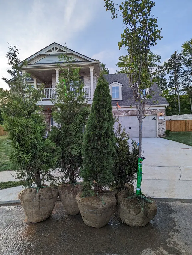 Alpine Landscaping, LLC — photo from the business 11