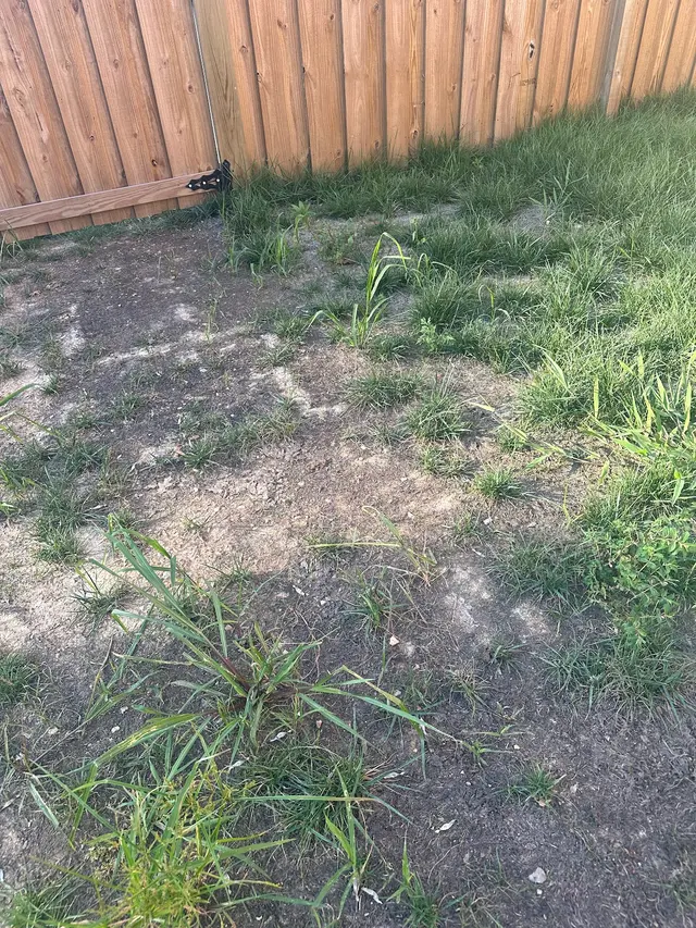 Customer photo of work by Alpine Landscaping, LLC, from Ana and Ekke Schütz's review