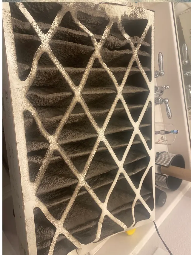 Customer photo from Letisha's review