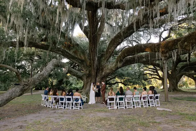 PK Weddings and Events New Orleans — photo from the business 4