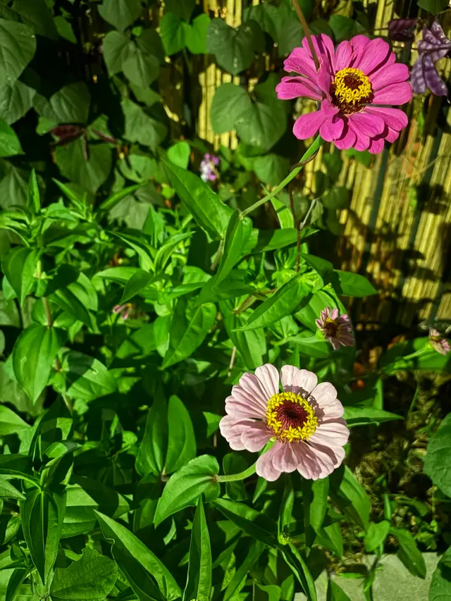 Customer photo of work by Paradigm Gardens, from Moriah Gaddis's review