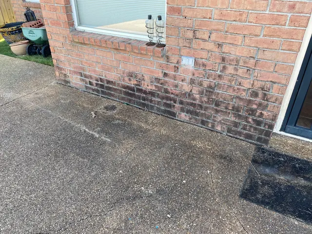 Green Clean Team — photo from the business 6