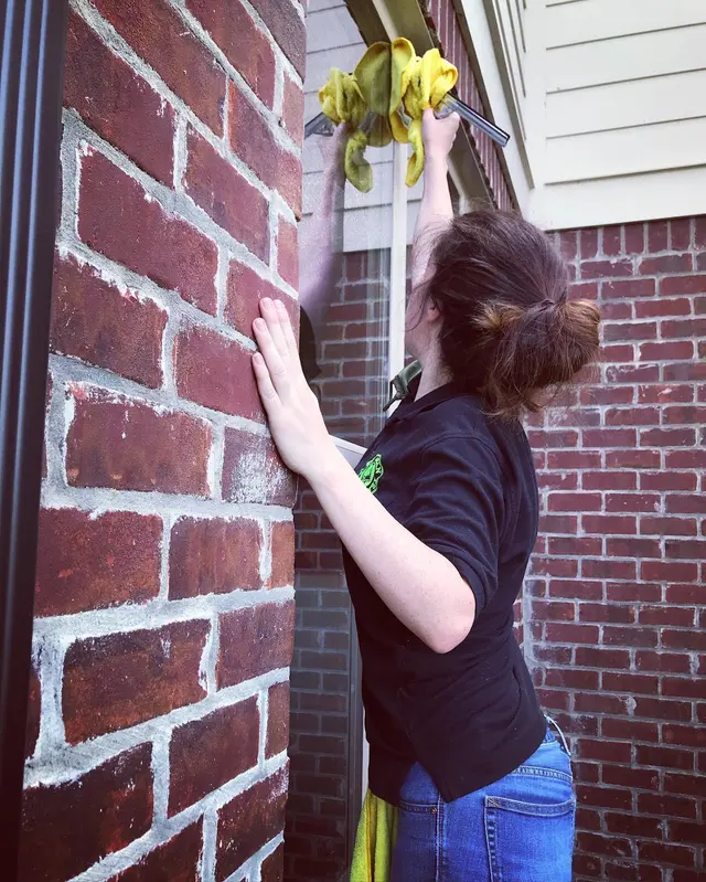 Green Clean Team — photo from the business 7