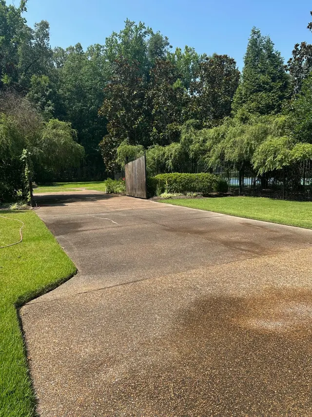 Green Clean Team — photo from the business 3