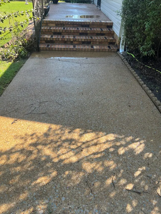 Green Clean Team — customer photo 2