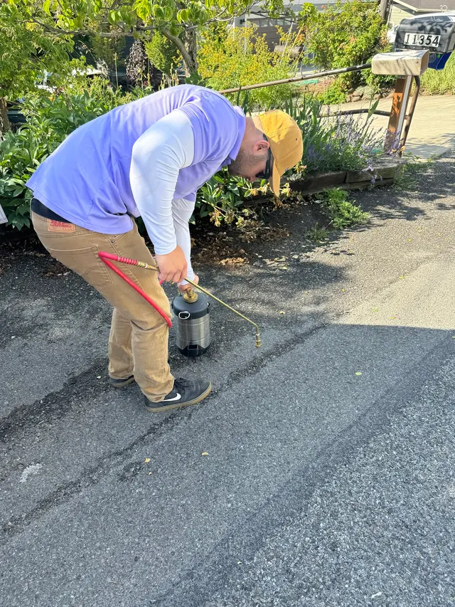 Spud Pest Control — photo from the business 10