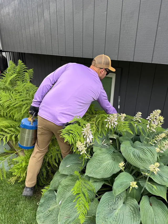 Spud Pest Control — photo from the business 6