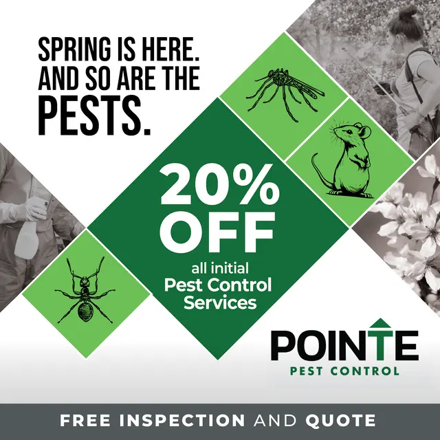 Pointe Pest Control - Spokane — photo from the business 10