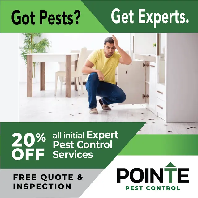 Pointe Pest Control - Spokane — photo from the business 7