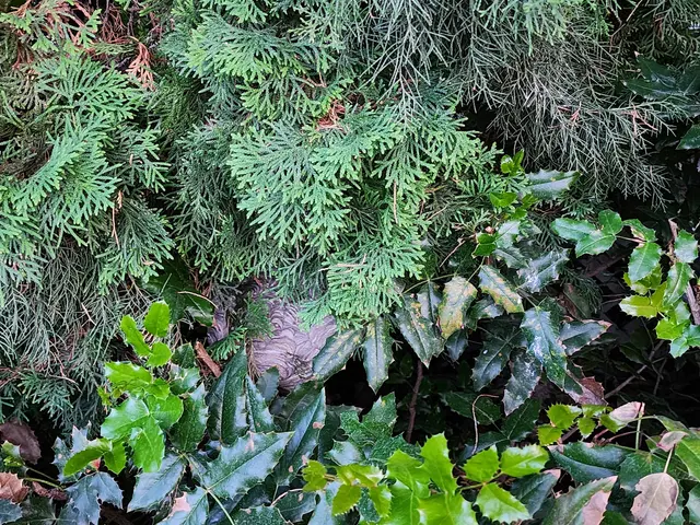 Crosstown Pest Control — customer photo 8
