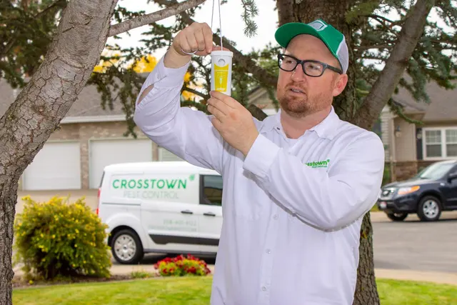 Crosstown Pest Control — photo from the business 9