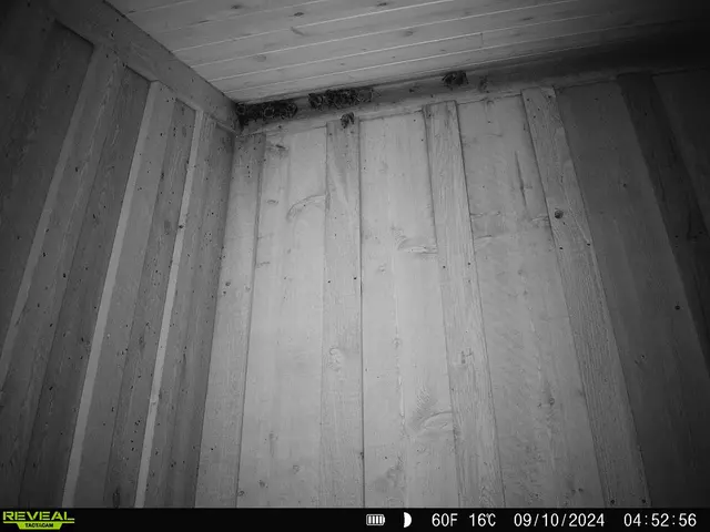 Eden Advanced Pest Technologies — photo from the business 11