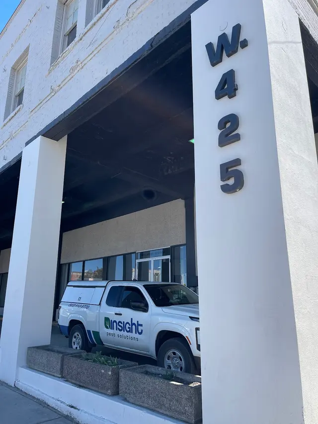 Insight Pest Solutions — photo from the business 2