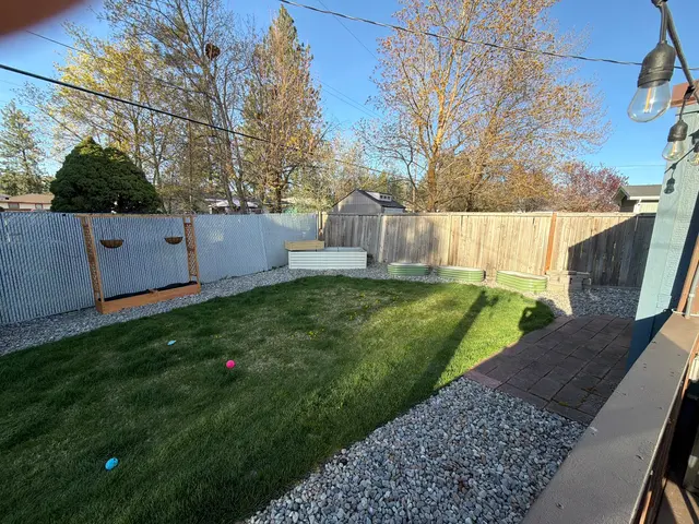 Insight Pest Solutions — customer photo 4