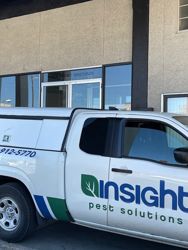 Insight Pest Solutions — photo from the business 3