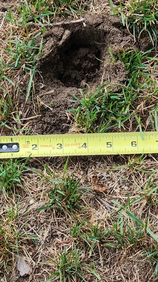 Backwoods Pest Control LLC — photo from the business 12