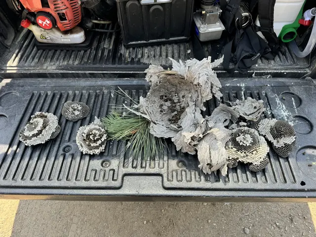 Backwoods Pest Control LLC — photo from the business 7