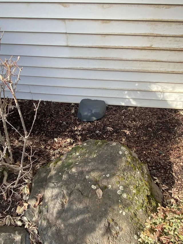 Backwoods Pest Control LLC — photo from the business 6