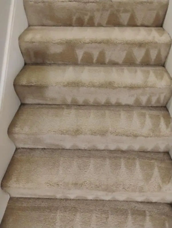 Corporate Interior Cleaning LLC — customer photo 3