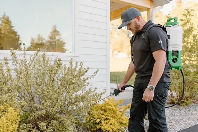 EcoTek Pest Control — photo from the business 4