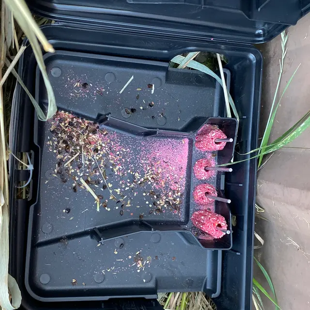 EcoTek Pest Control — photo from the business 10