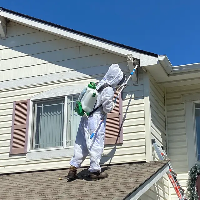 EcoTek Pest Control — photo from the business 3