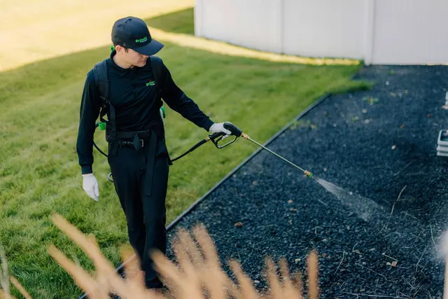 Organix Pest Control — photo from the business 4