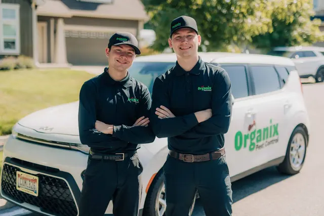 Organix Pest Control — photo from the business 2