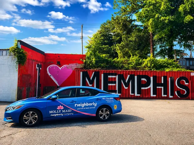 MOLLY MAID of East Memphis — photo from the business 7